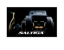 Катушка Daiwa 21 Saltiga IC 300HL-SJ