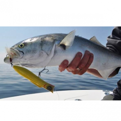 Без имени-41.jpg